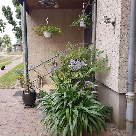 Ferienwohnung Siebmann Neuruppin Εξωτερικό φωτογραφία