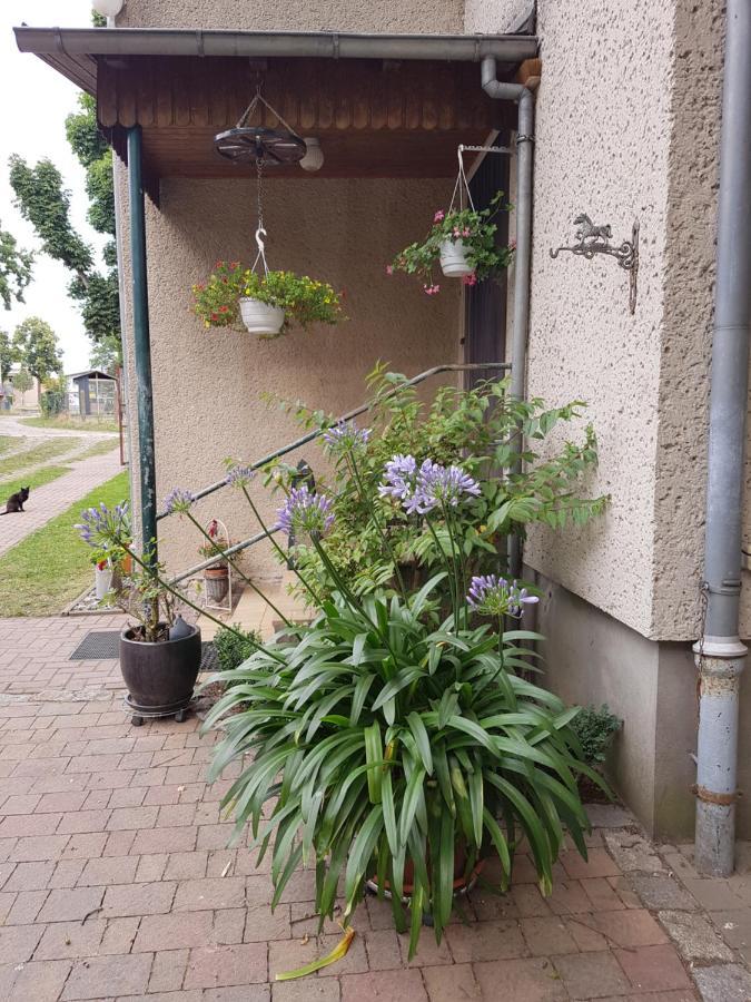 Ferienwohnung Siebmann Neuruppin Εξωτερικό φωτογραφία